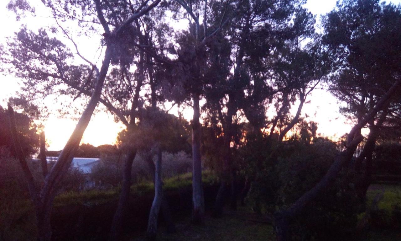 Villa Morgante B&B Pedara Dış mekan fotoğraf
