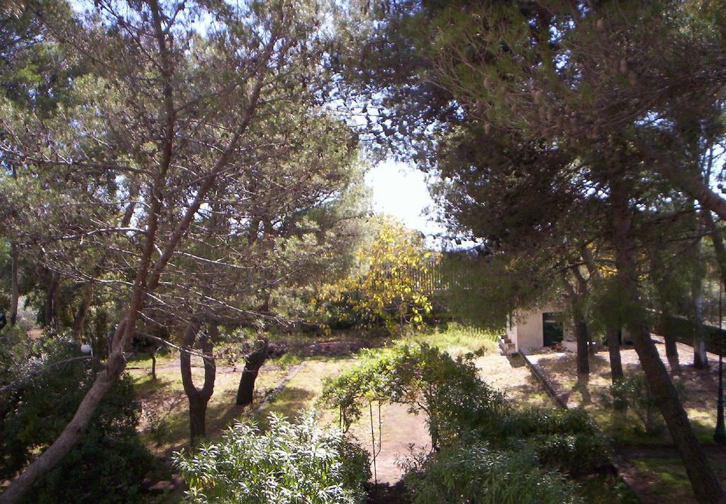 Villa Morgante B&B Pedara Dış mekan fotoğraf