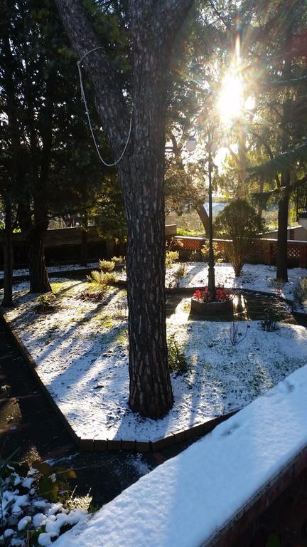 Villa Morgante B&B Pedara Dış mekan fotoğraf