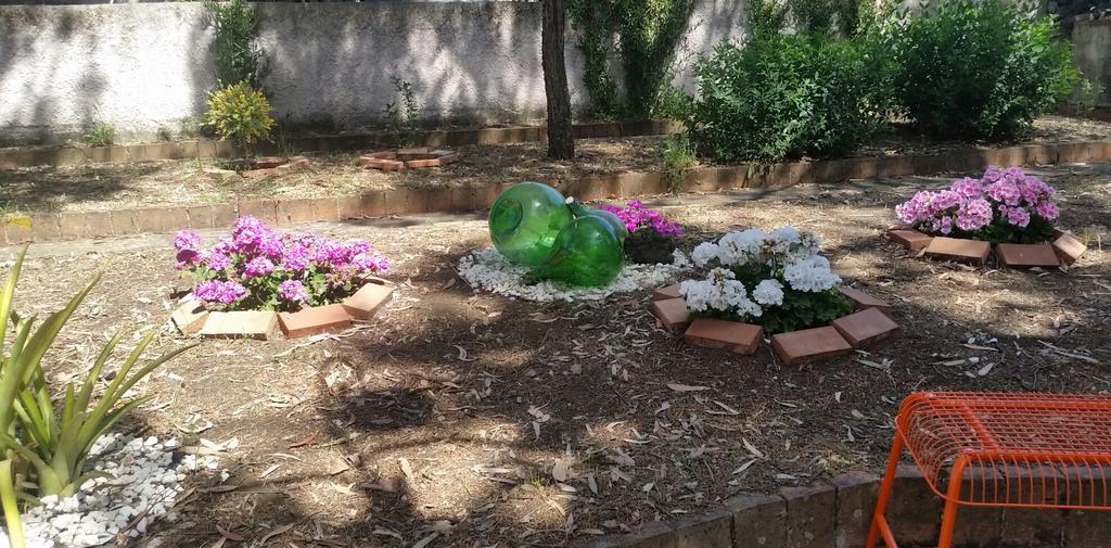 Villa Morgante B&B Pedara Dış mekan fotoğraf