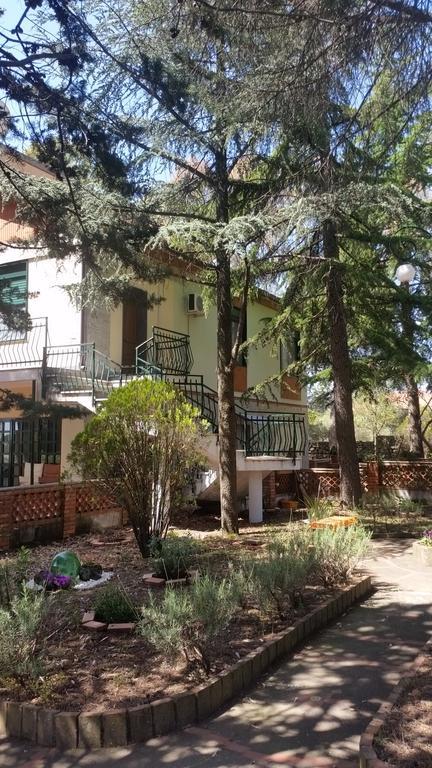 Villa Morgante B&B Pedara Dış mekan fotoğraf