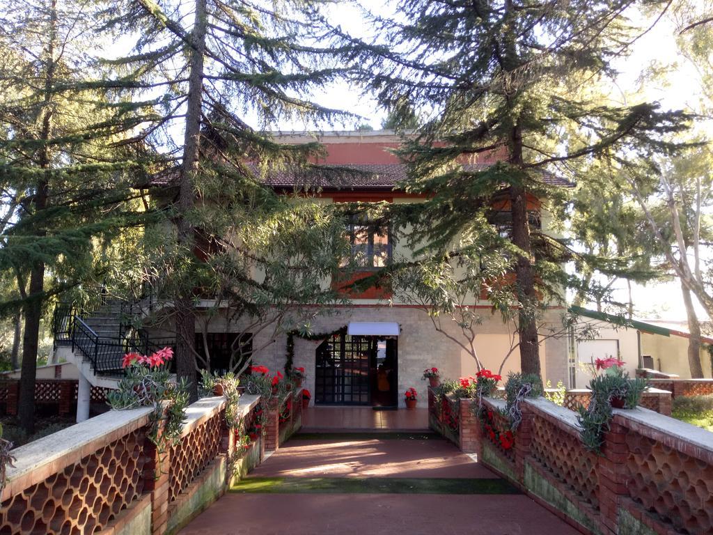 Villa Morgante B&B Pedara Dış mekan fotoğraf