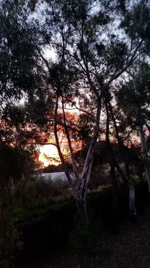 Villa Morgante B&B Pedara Dış mekan fotoğraf