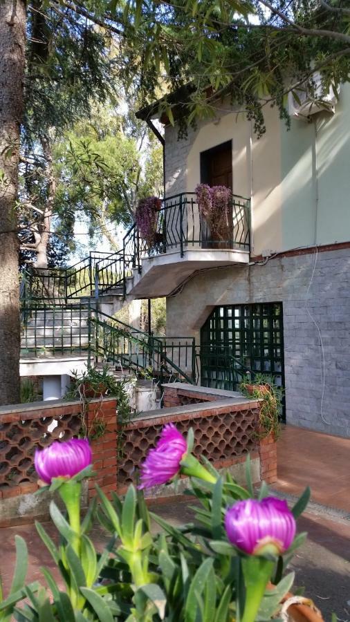 Villa Morgante B&B Pedara Dış mekan fotoğraf