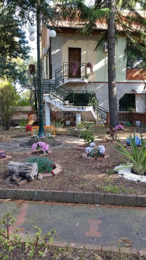 Villa Morgante B&B Pedara Dış mekan fotoğraf