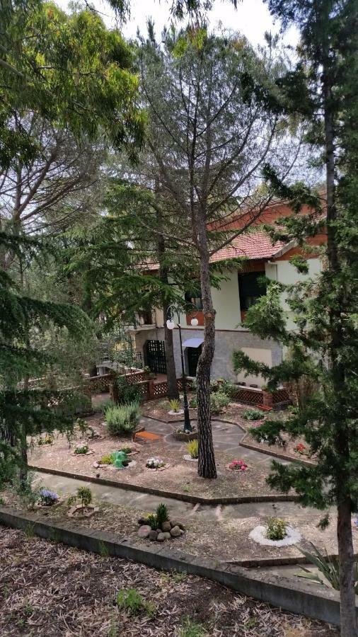 Villa Morgante B&B Pedara Dış mekan fotoğraf