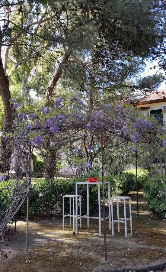 Villa Morgante B&B Pedara Dış mekan fotoğraf